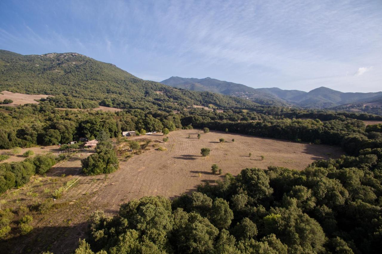 Domaine Finili Villa Cauro Dış mekan fotoğraf