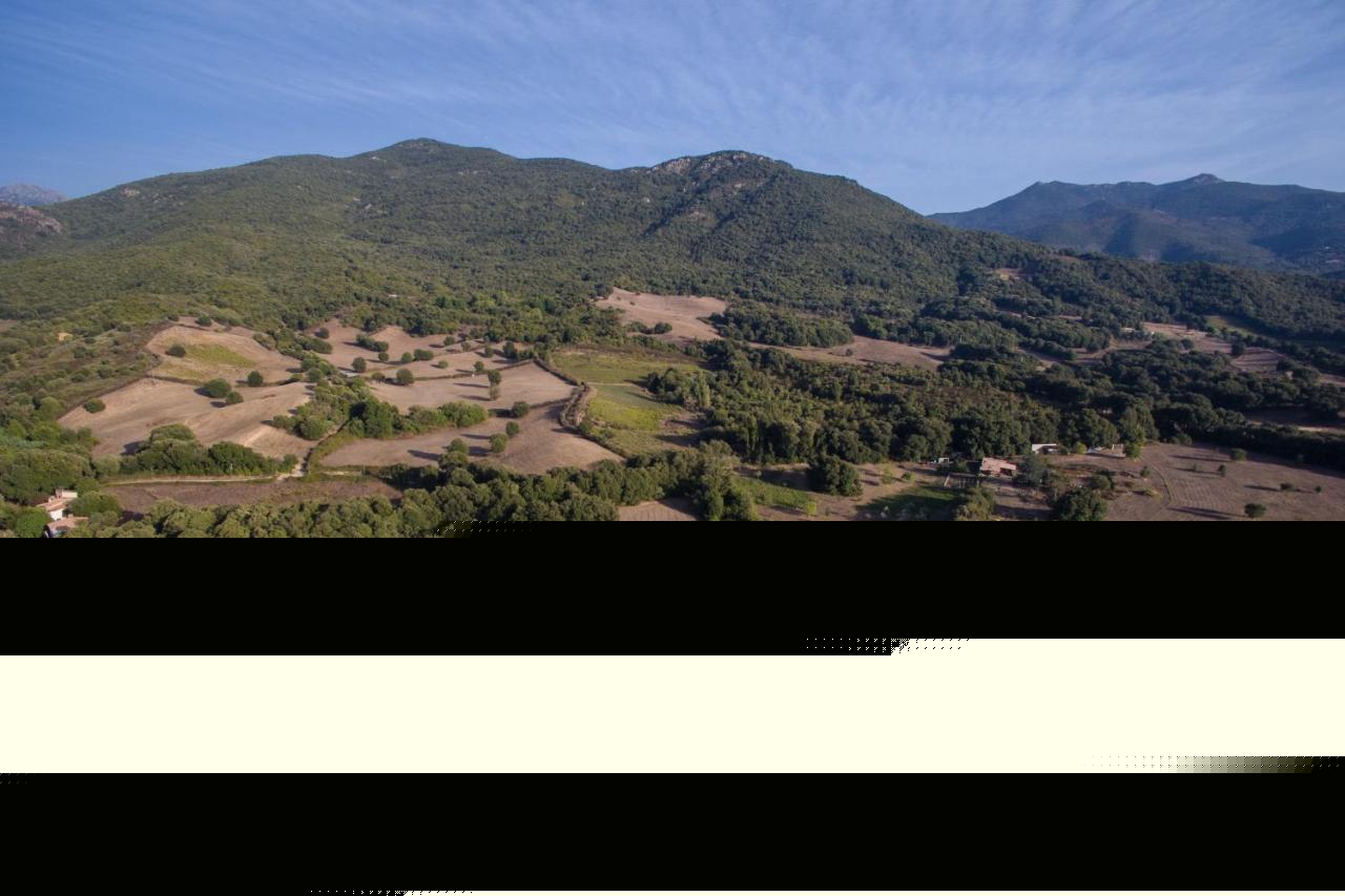Domaine Finili Villa Cauro Dış mekan fotoğraf